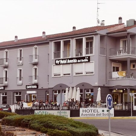Hotel Avenida Del Sotillo La Lastrilla Ngoại thất bức ảnh